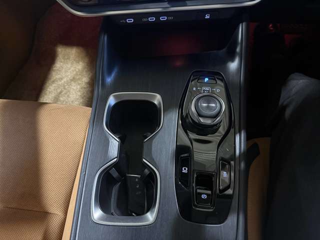 Lexus RZ 11