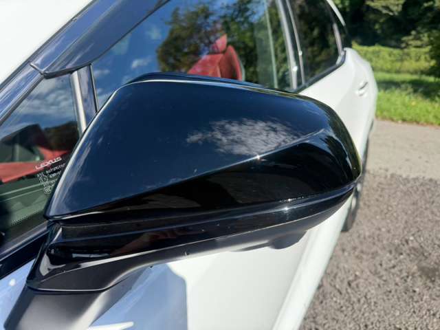 Lexus RX 12