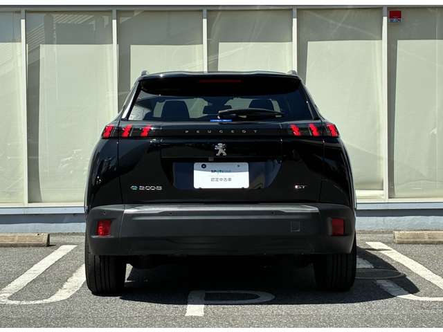 Peugeot SUV e-2008 9