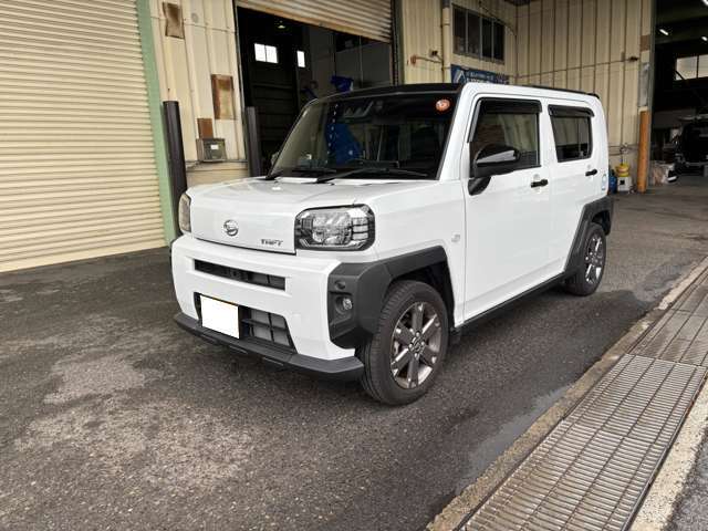 Daihatsu Taft 8