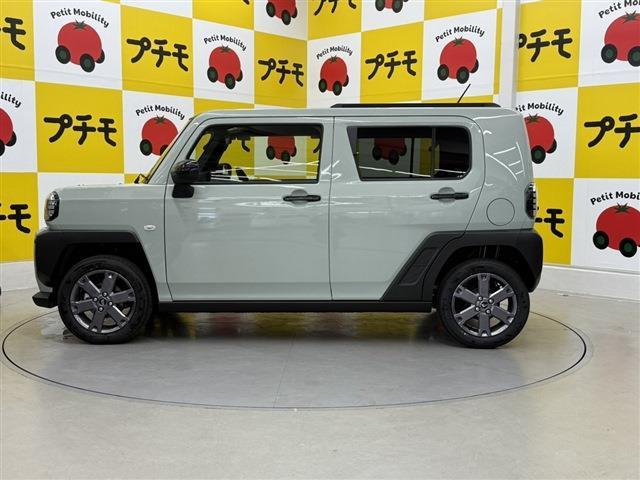 Daihatsu Taft 10