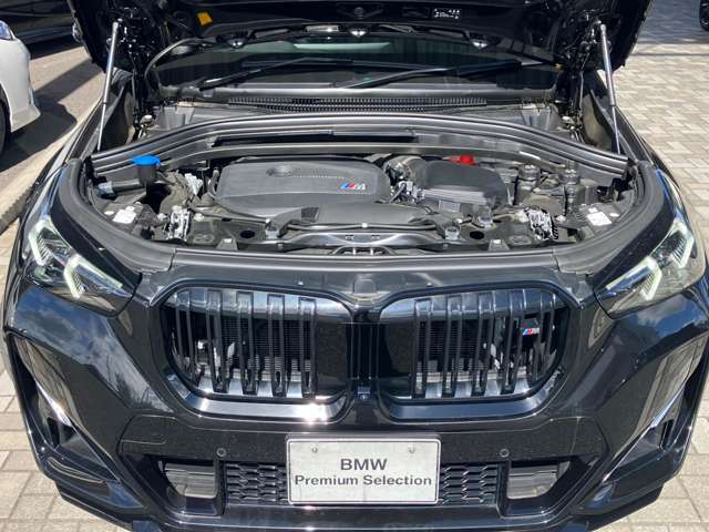 BMW X1 11