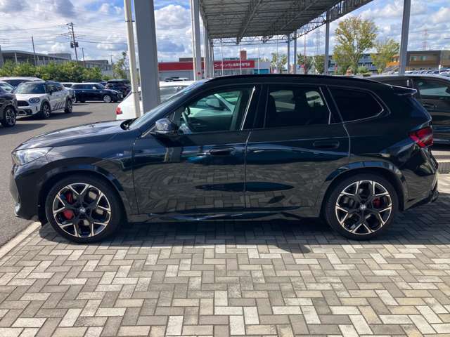 BMW X1 2
