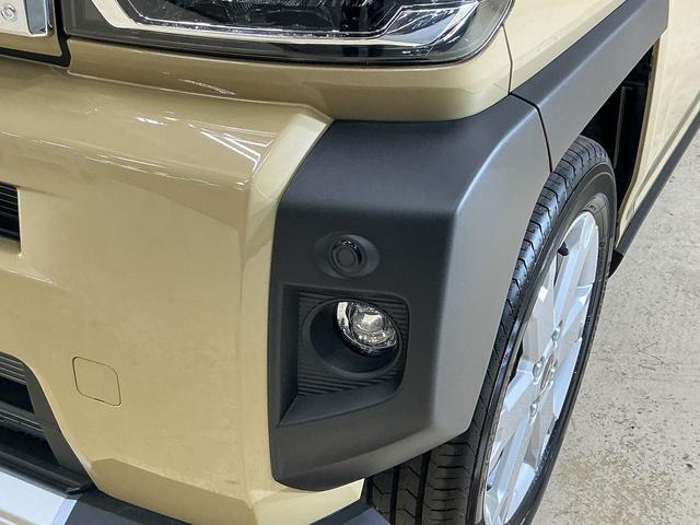 Daihatsu Taft 8