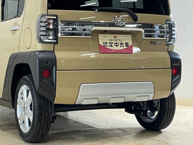Daihatsu Taft 9