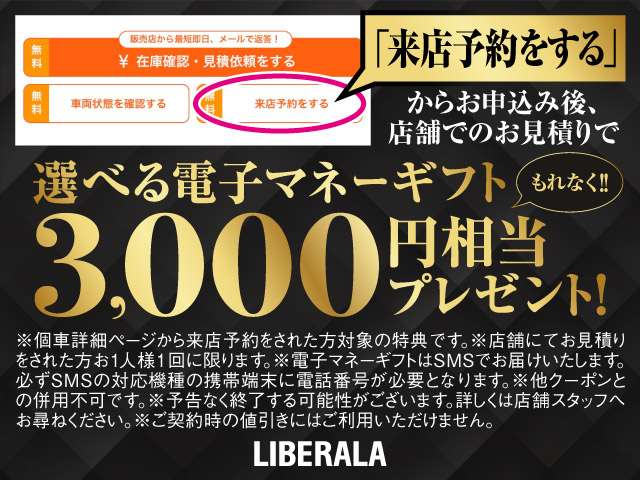 BMW X1 3