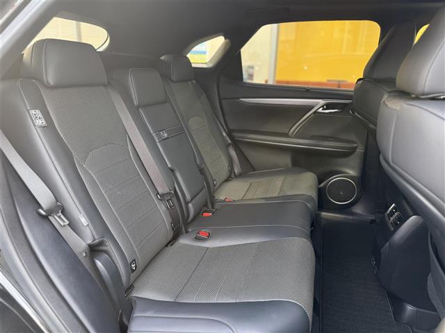 Lexus RX 11