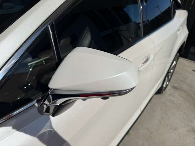 Lexus RX 12