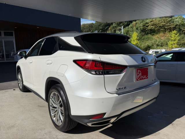 Lexus RX 6