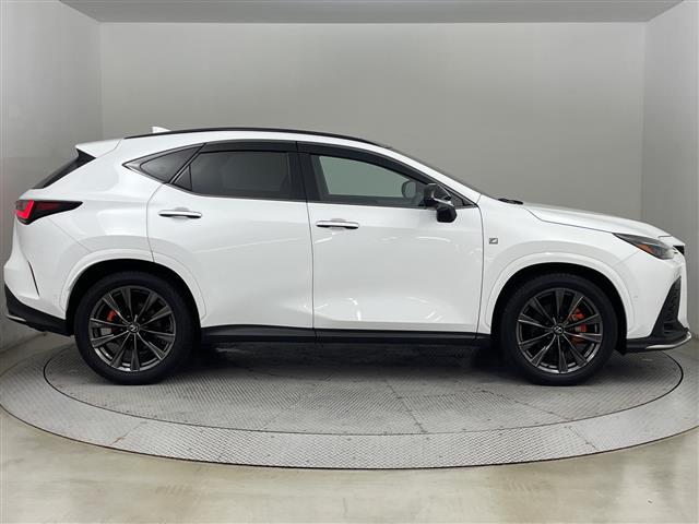 Lexus NX 11