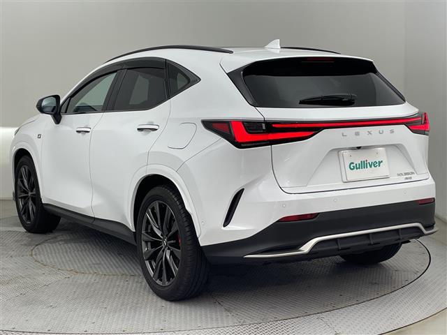 Lexus NX 6