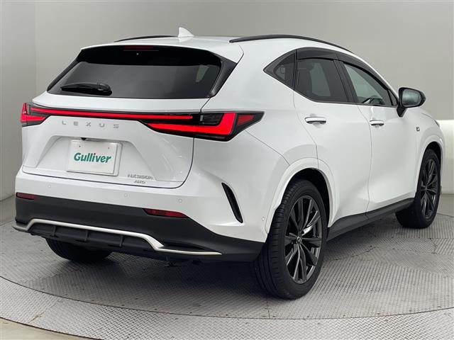 Lexus NX 7