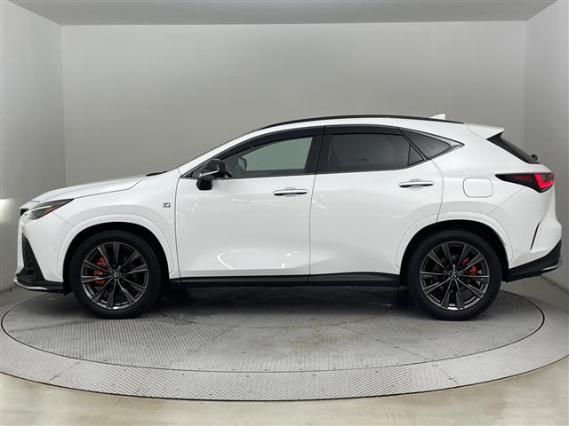 Lexus NX 10