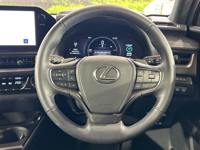 Lexus UX 11