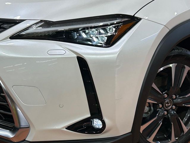 Lexus UX 12