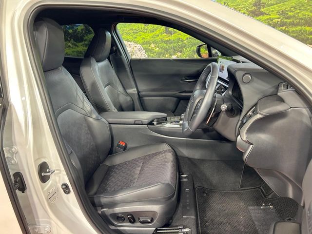 Lexus UX 8