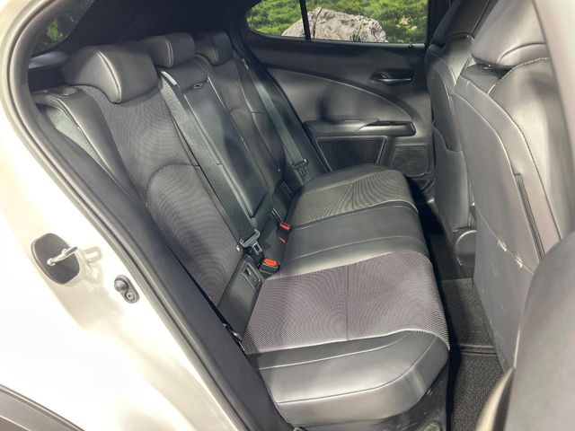 Lexus UX 9