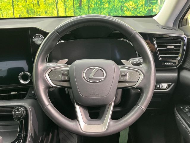 Lexus NX 11