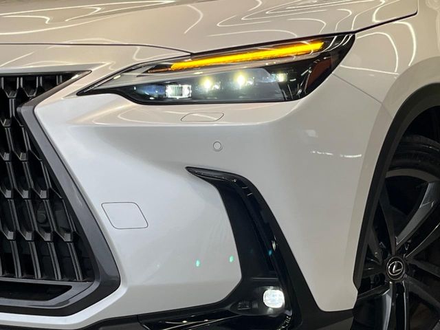 Lexus NX 12