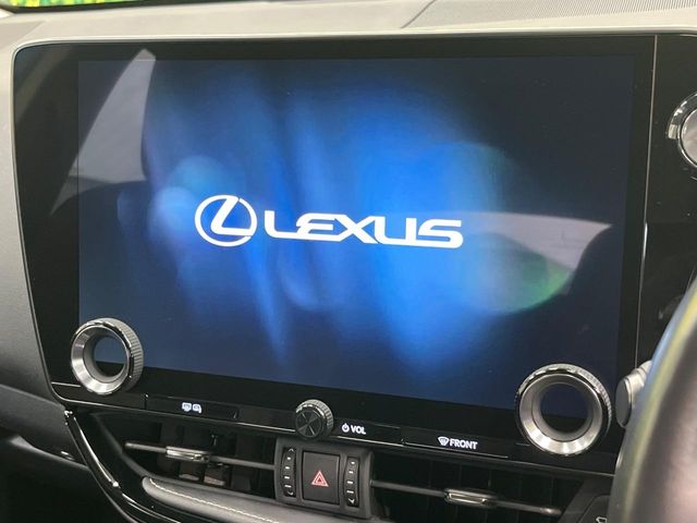 Lexus NX 4