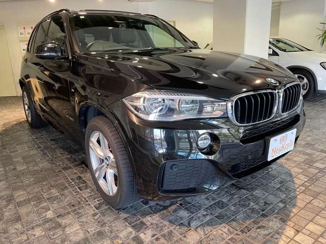 BMW X5 11