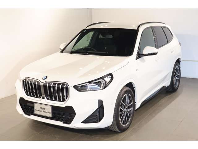 BMW X1 8