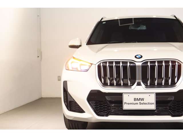 BMW X1 10