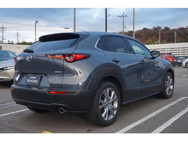 Mazda CX-30 6