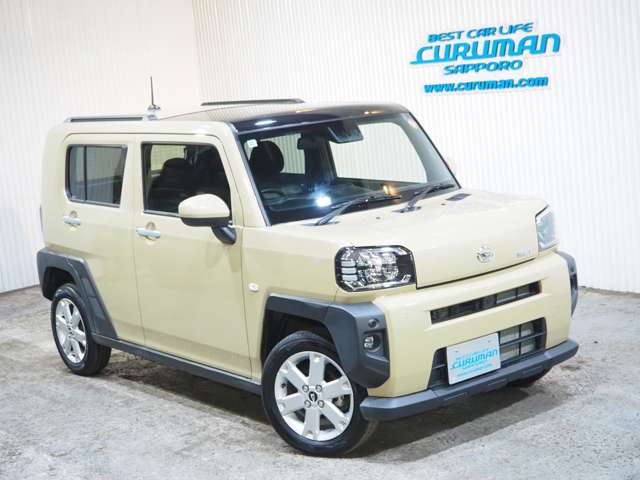 Daihatsu Taft 11