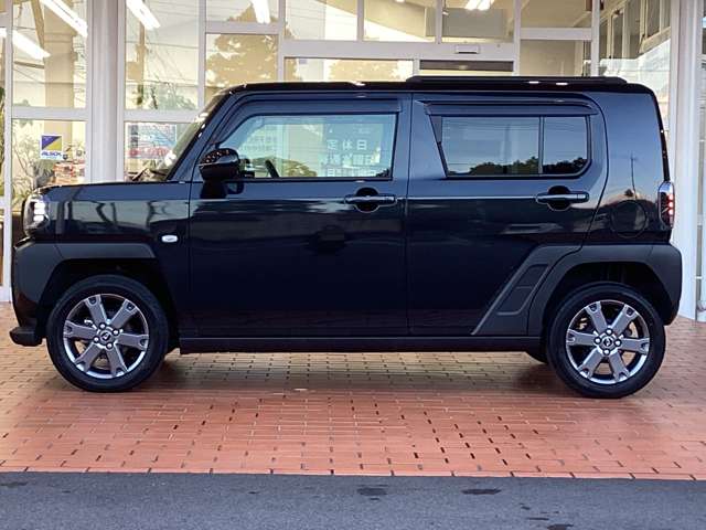 Daihatsu Taft 11