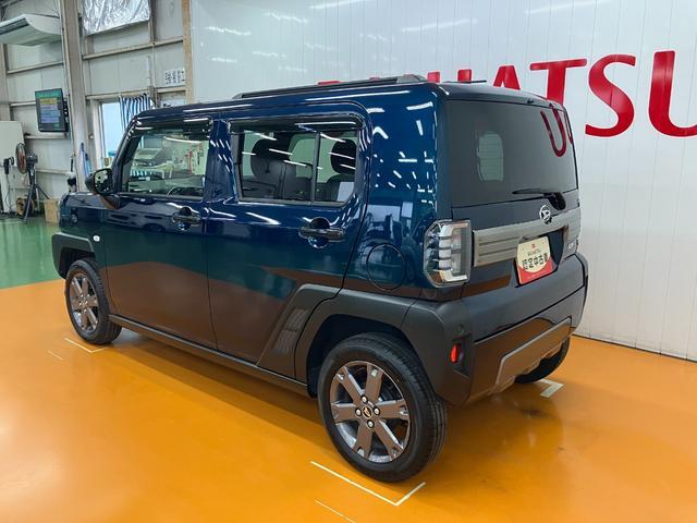 Daihatsu Taft 6
