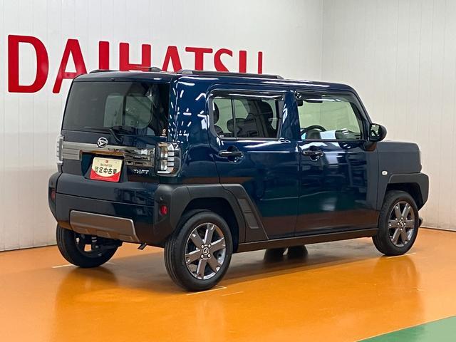 Daihatsu Taft 8