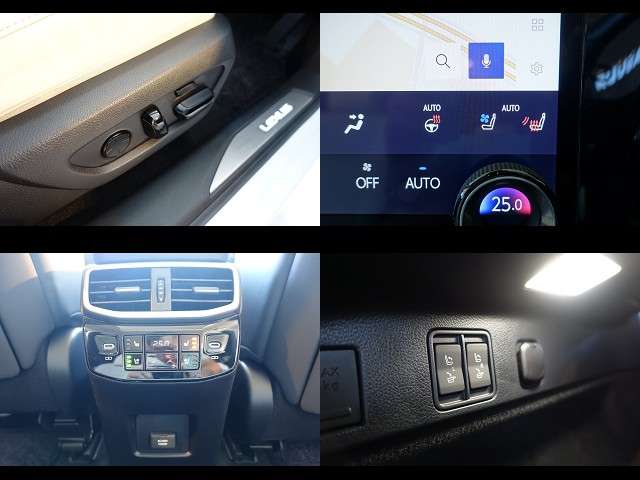 Lexus RX 11