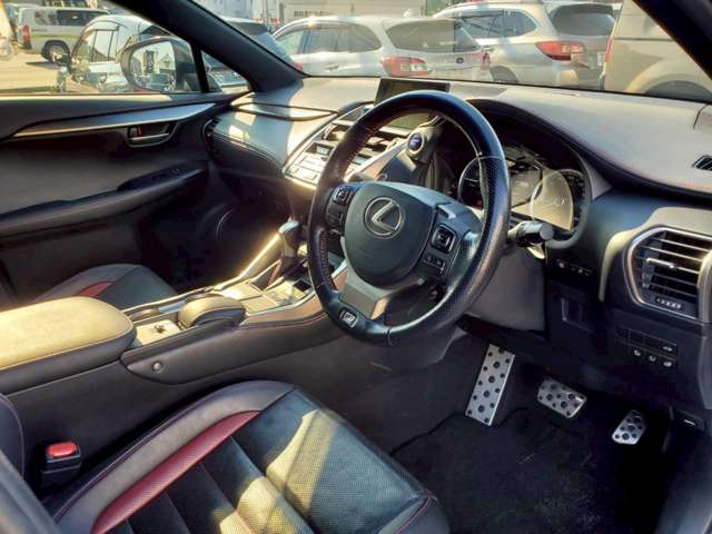 Lexus NX 11