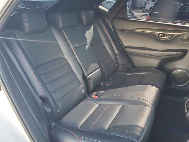 Lexus NX 12