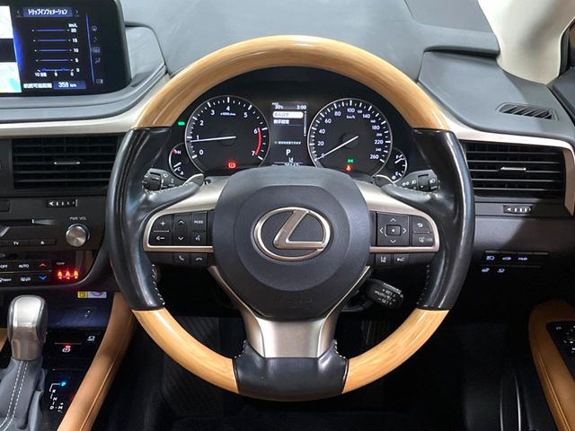 Lexus RX 11