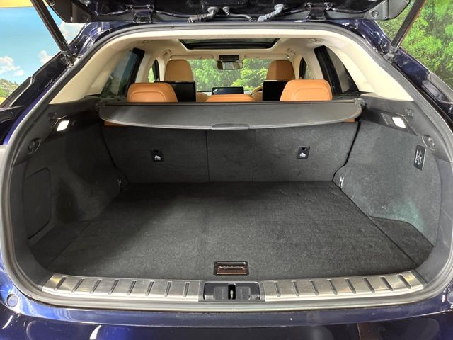 Lexus RX 10