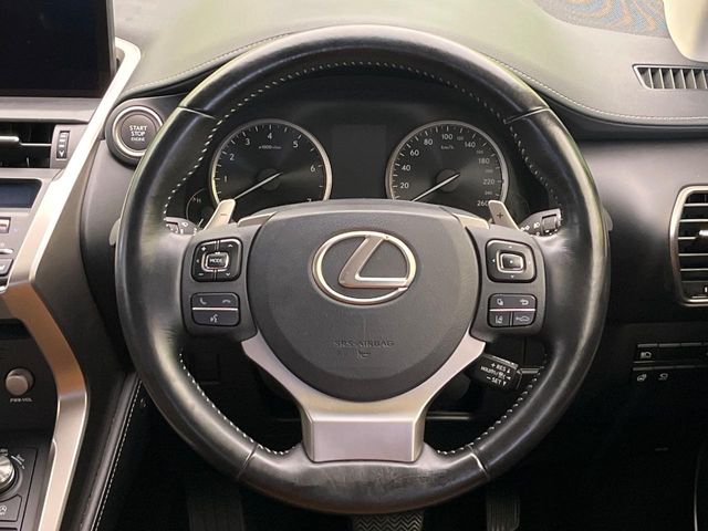 Lexus NX 11