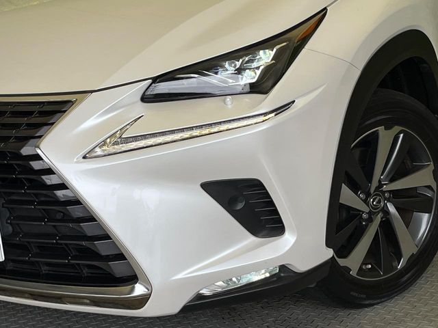 Lexus NX 12