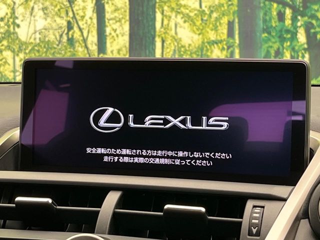 Lexus NX 3