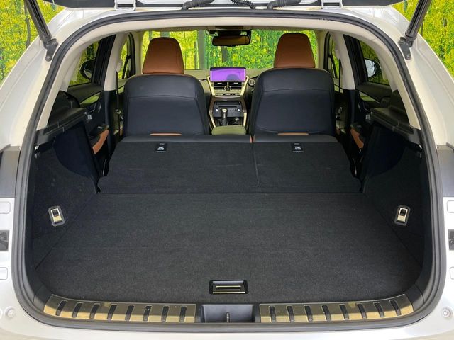 Lexus NX 10
