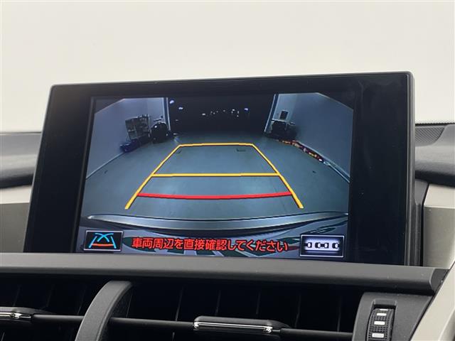 Lexus NX 4