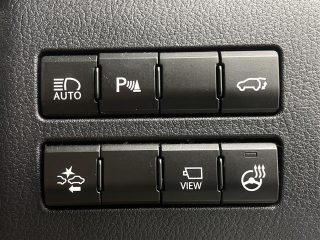 Lexus NX 6