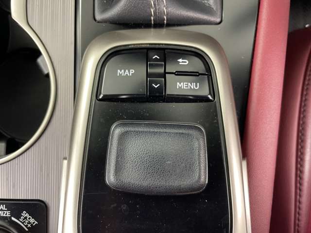 Lexus RX 12