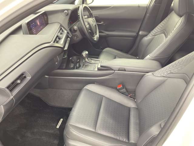Lexus UX 10