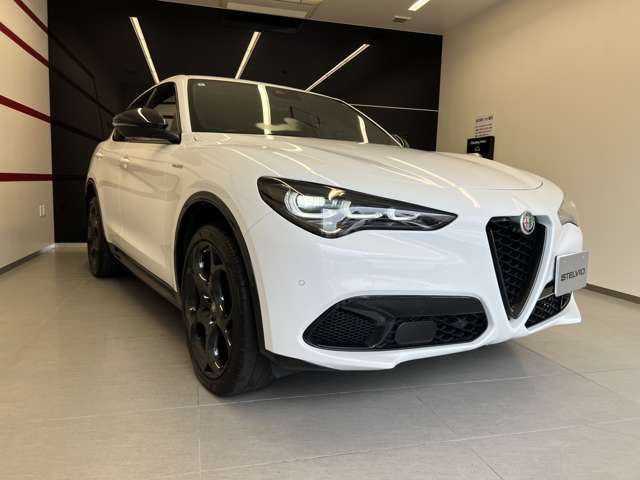 Alfa Romeo Stelvio 6