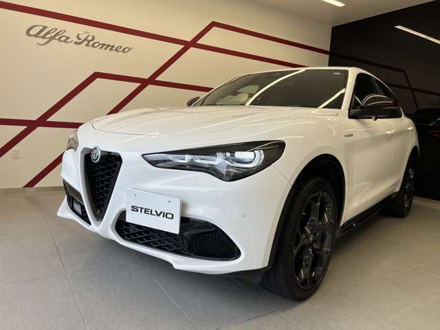 Alfa Romeo Stelvio 7