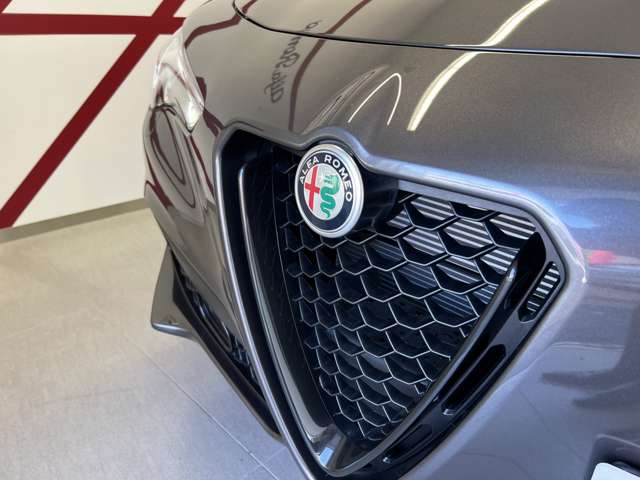 Alfa Romeo Stelvio 10