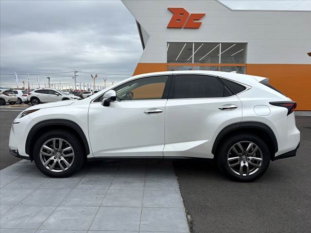 Lexus NX 11