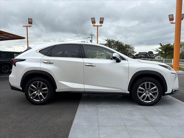 Lexus NX 12